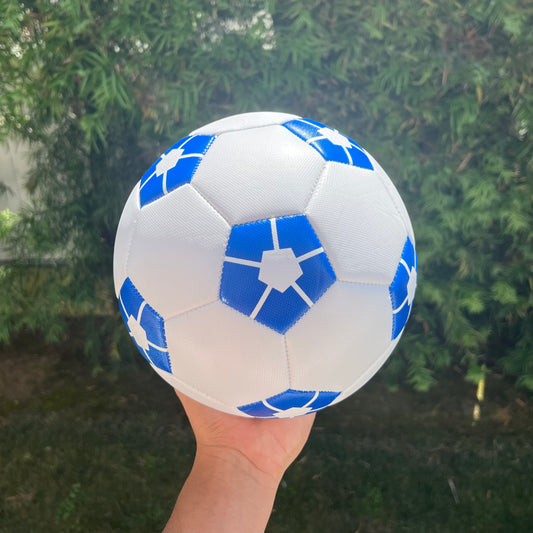 Blue Lock Soccer Ball